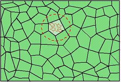 single molecule