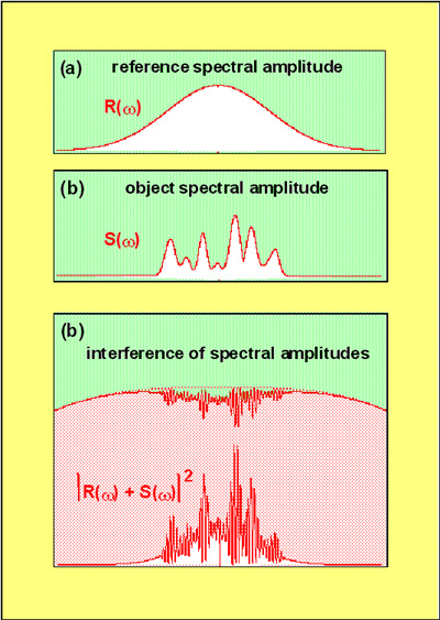 reference amplitude