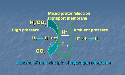 hseparation intro