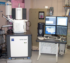 field emission scanning electron microscope image and chemical fesem