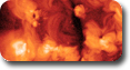 Solar Solar