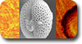 Imaging and Chemical Analysis Lab Imaging and Chemical Analysis Lab