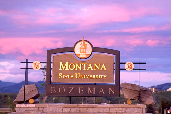 msu sign 