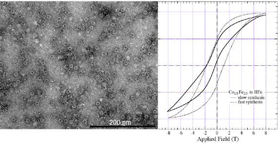 Nanoparticle